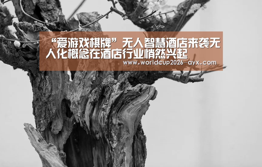 “爱游戏棋牌”无人智慧酒店来袭无人化概念在酒店行业悄然兴起(图3) 爱游戏app