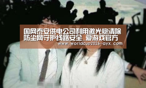 国网泰安供电公司利用激光炮清除防尘网守护线路安全_爱游戏官方入口(图1) 爱游戏棋牌