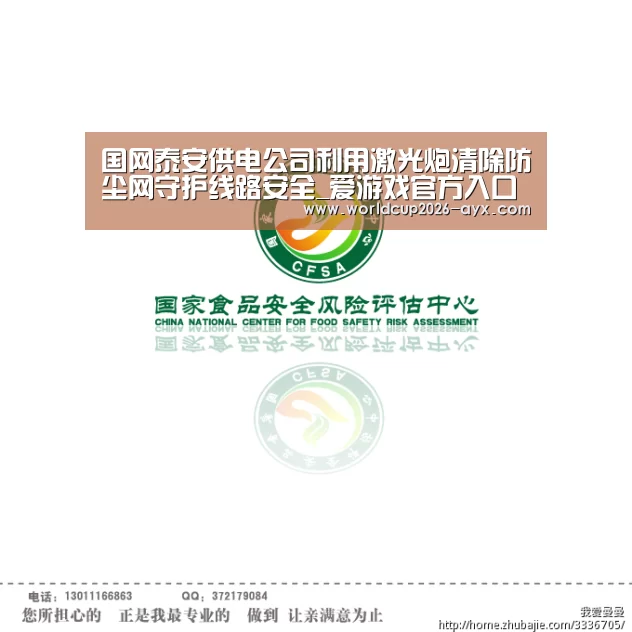 国网泰安供电公司利用激光炮清除防尘网守护线路安全_爱游戏官方入口(图2) 爱游戏官方入口