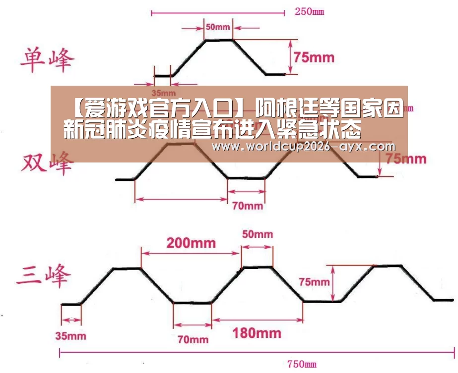 【爱游戏官方入口】阿根廷等国家因新冠肺炎疫情宣布进入紧急状态(图1) 爱游戏体育官网
